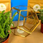 Brass Framed Brass Open Terrarium - Indoor Garden Container - Trinket - Free P&P