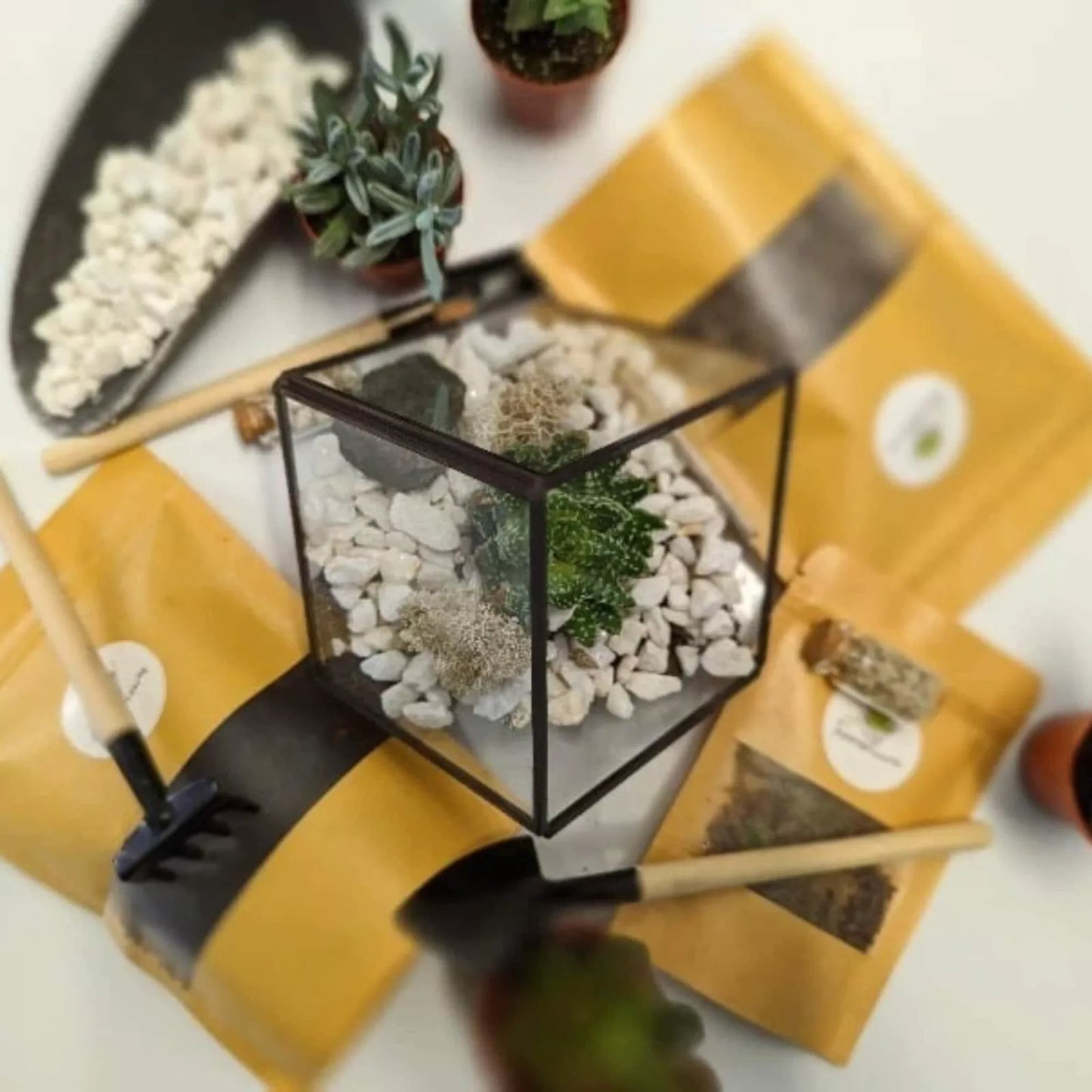 Cube Terrarium DIY Kit |  Ideal Terrarium Starter Set| Tealight Holder |Free P&P