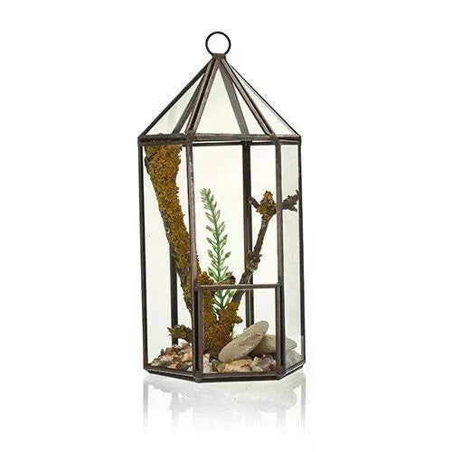 Glass Terrarium Black Lantern  | Hanging Lantern | Trinket Display | Free P&P