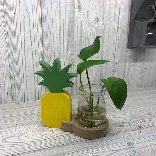 Hydroponic Home Décor - Wooden Frame Pineapple - Glass Jar - Plants Free P&P