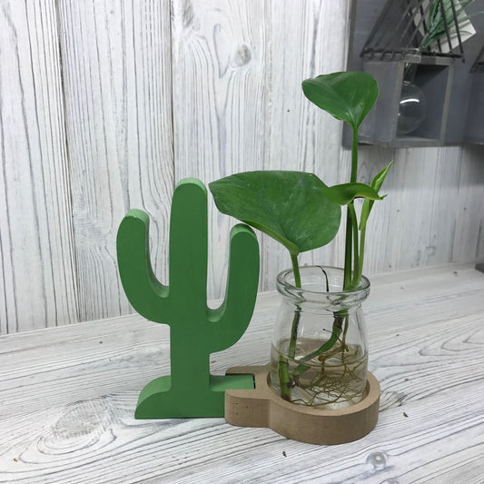 Hydroponic Home Décor - Wooden Frame Cactus - Glass Jar - Plants Free P&P